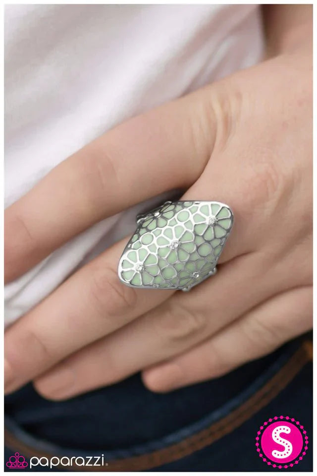 Paparazzi Ring ~ A Spring Spree - Green