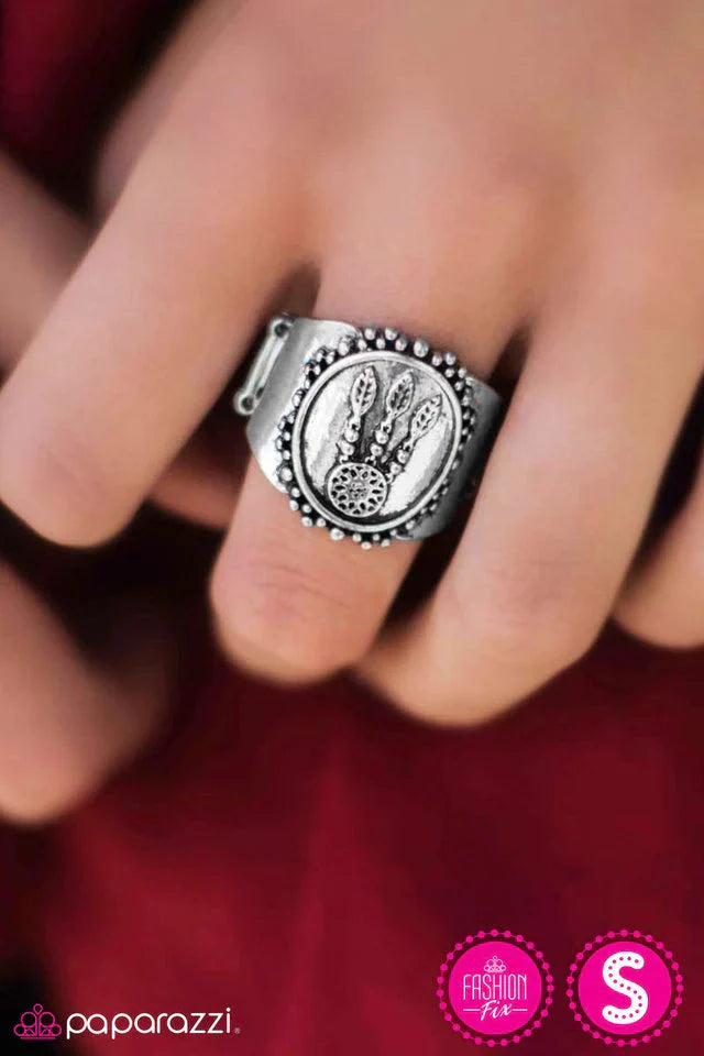 Paparazzi Ring ~ Arizona Dream - Silver