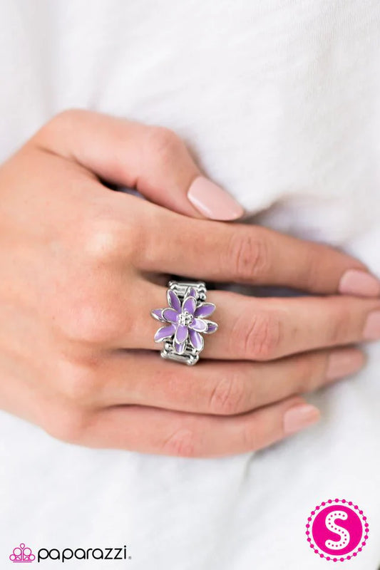 Paparazzi Ring ~ Hopelessly Honolulu - Purple