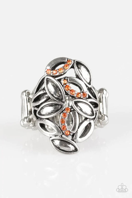 Paparazzi Ring ~ Autumn Awe - Orange