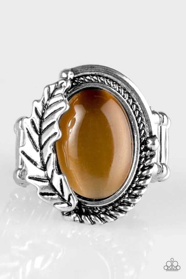 Paparazzi Ring ~ Seasonal Shimmer - Brown