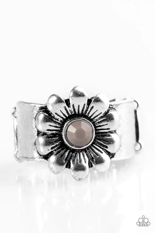 Paparazzi Ring ~ Dreamy Fields - Silver