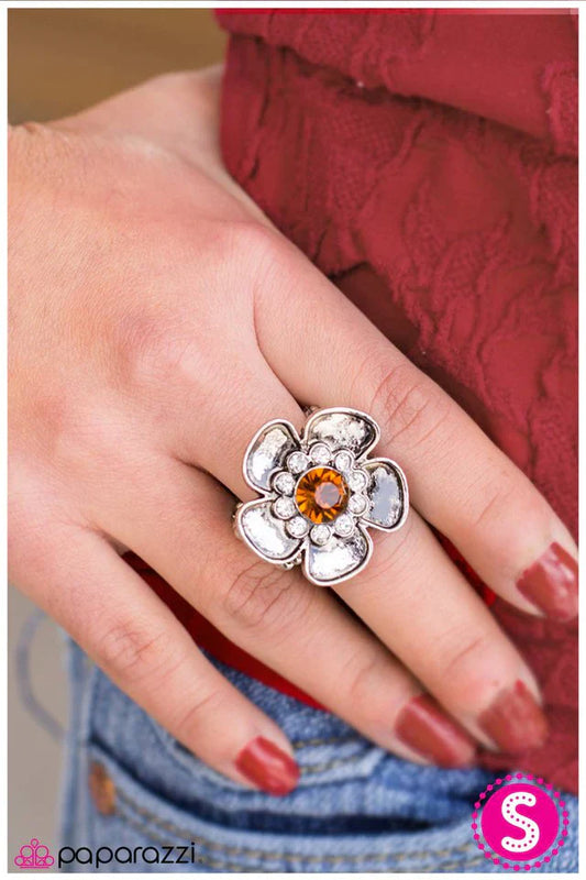 Paparazzi Ring ~ At the Risk of Looking Fabulous - Brown