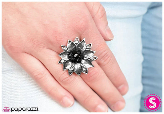 Paparazzi Ring ~ Bewitched - Black