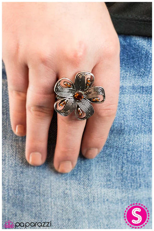 Paparazzi Ring ~ Epiphany - Brown