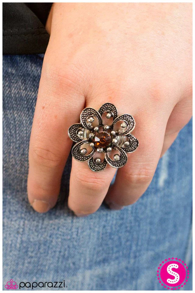 Paparazzi Ring ~ Growing Admiration - Brown