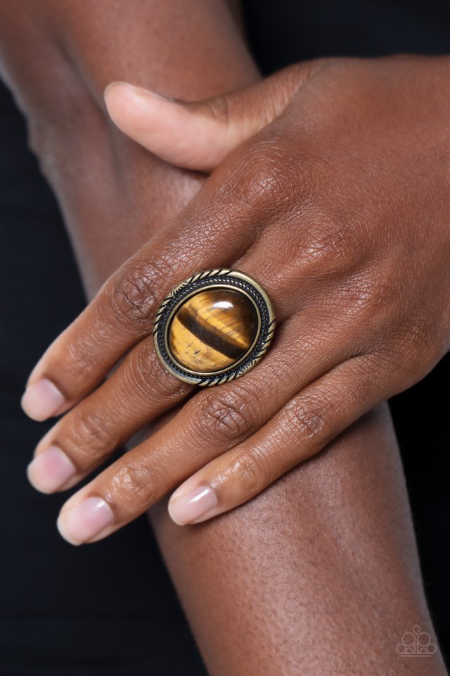 Stone Terrarium - Brass - Paparazzi Ring Image