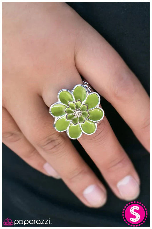 Paparazzi Ring ~ Spring Fling - Green