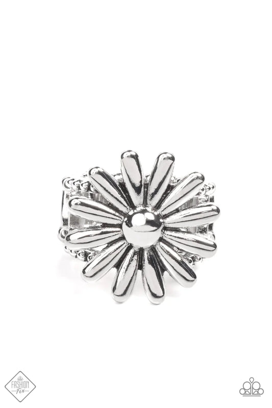 Paparazzi Ring ~ GROWING Steady - Silver