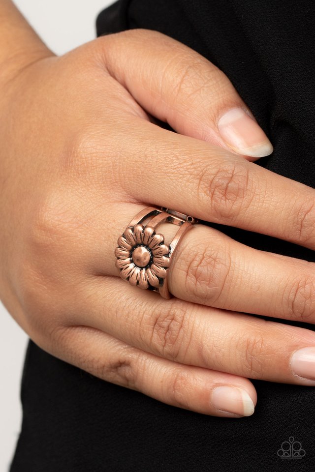 Roadside Daisies - Copper - Paparazzi Ring Image