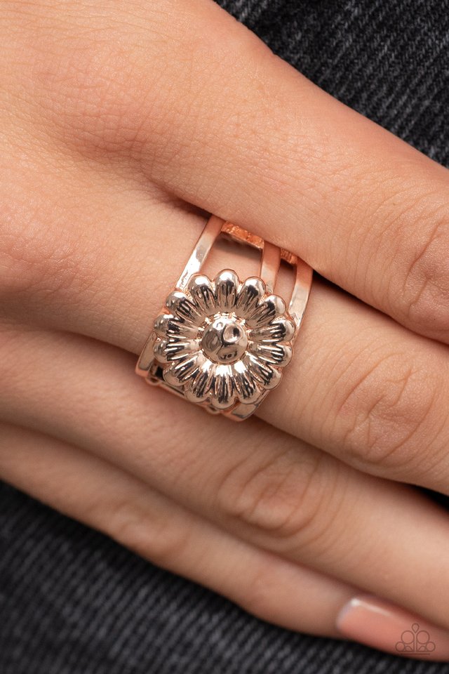 Roadside Daisies - Rose Gold - Paparazzi Ring Image