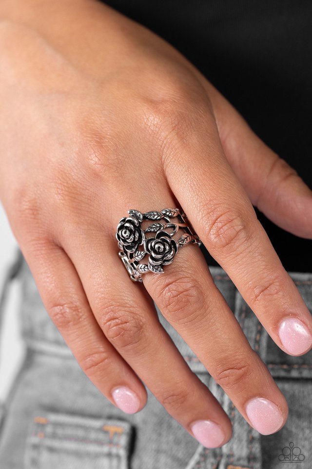 Anything ROSE - Silver - Paparazzi Ring Image