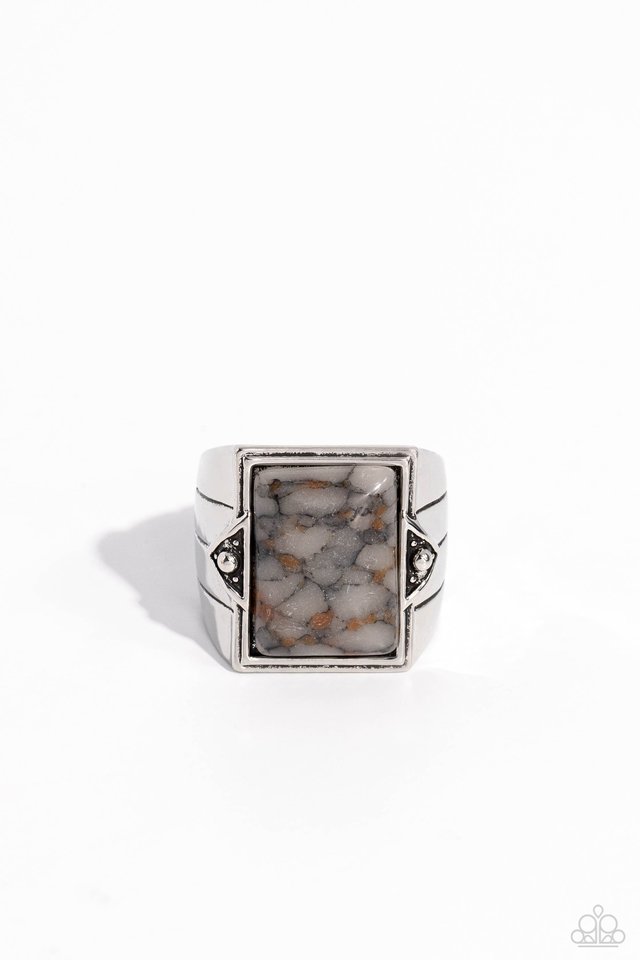 Startling Stones - Silver - Paparazzi Ring Image