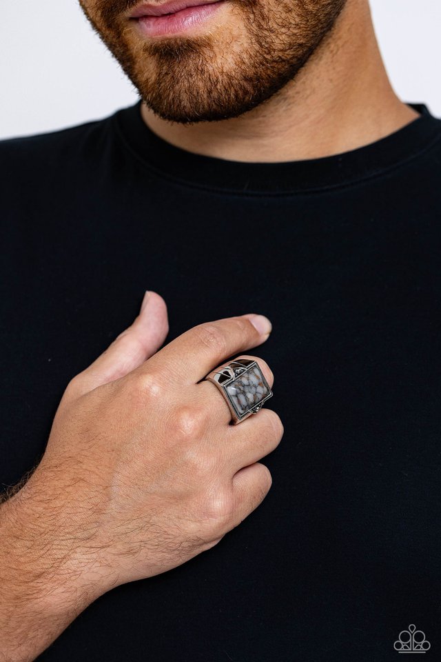 Startling Stones - Silver - Paparazzi Ring Image