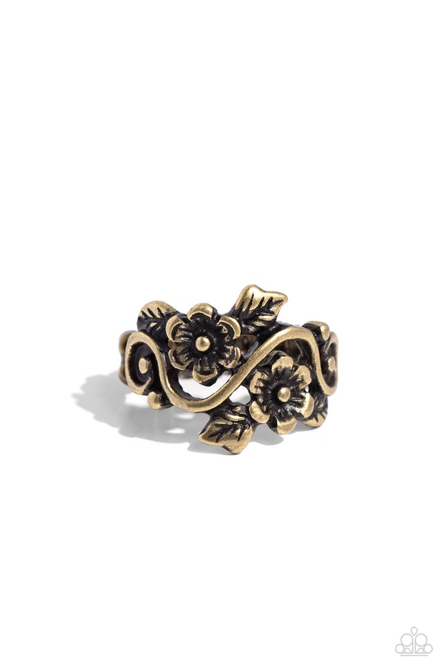 Backyard Beauty - Brass - Paparazzi Ring Image