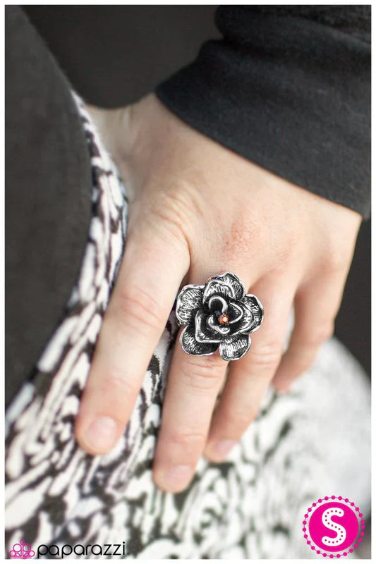 Paparazzi Ring ~ Spring Craving - Brown