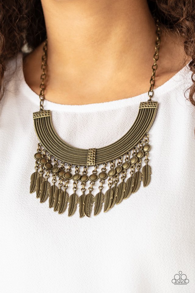 Fierce in Feathers - Brass - Paparazzi Necklace Image